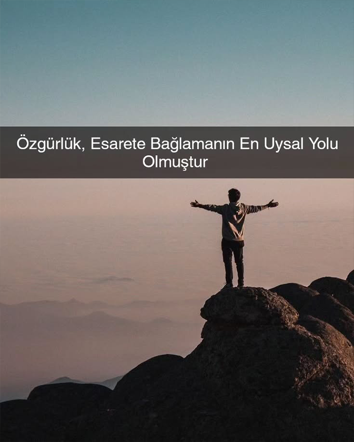 Arşiv